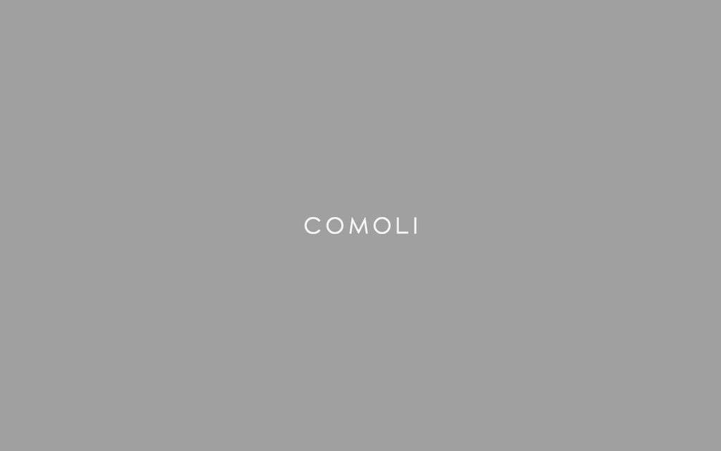 2026.1.16 release / COMOLI