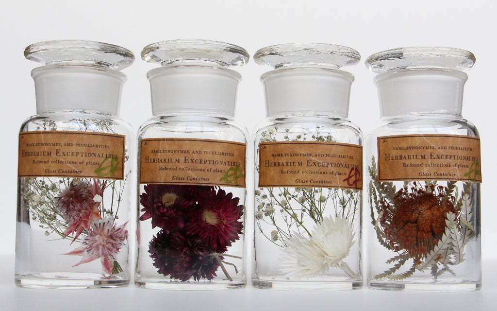 GLASS CONTAINER 新作入荷