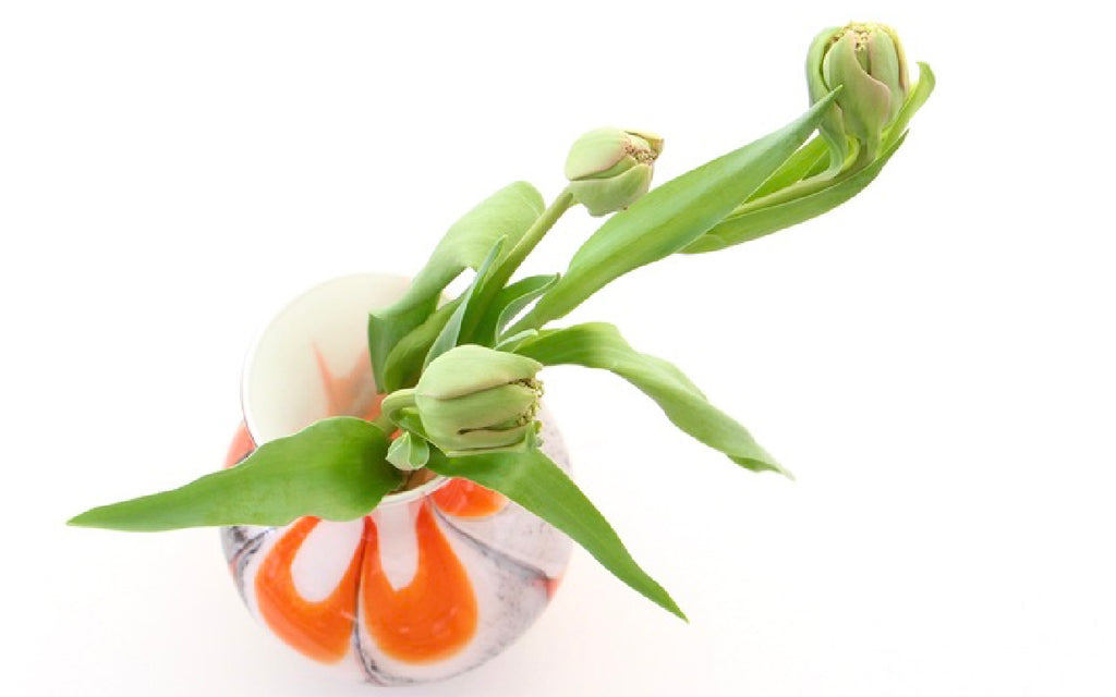 花と花瓶・植物と鉢 展 / 2021.4.3-4.15