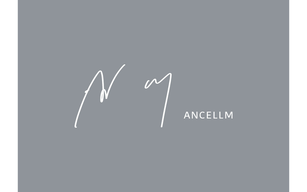 2024.2.24 release / ANCELLM