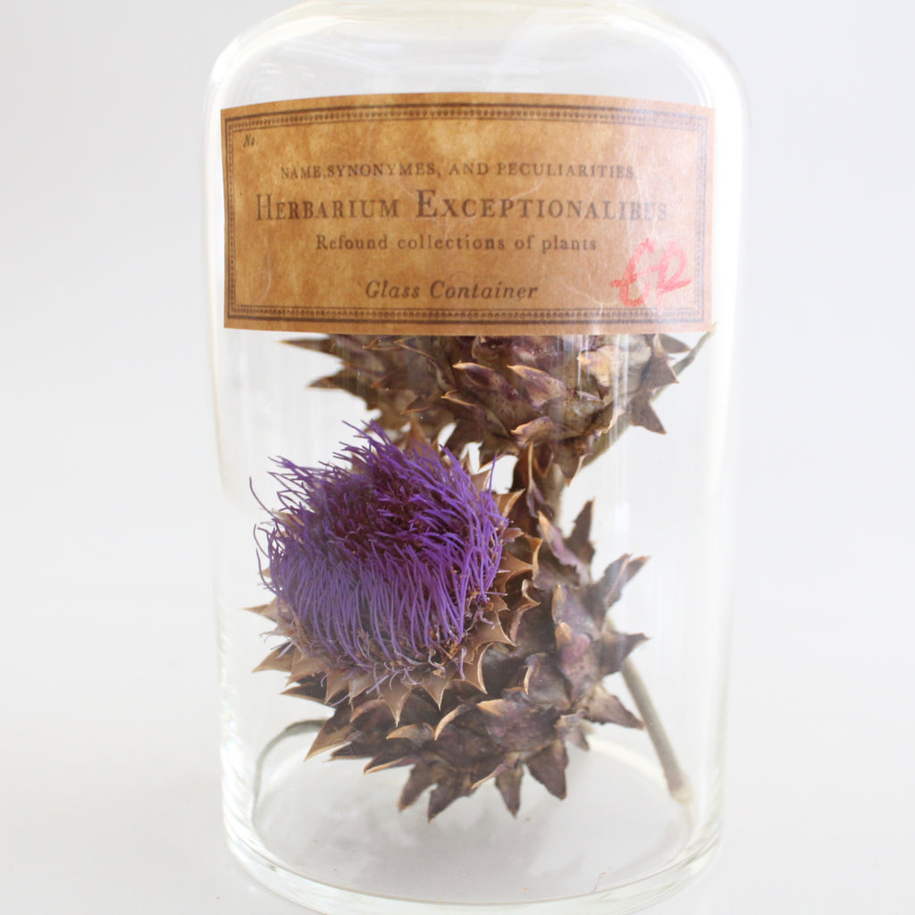 GLASS CONTAINER 新作入荷