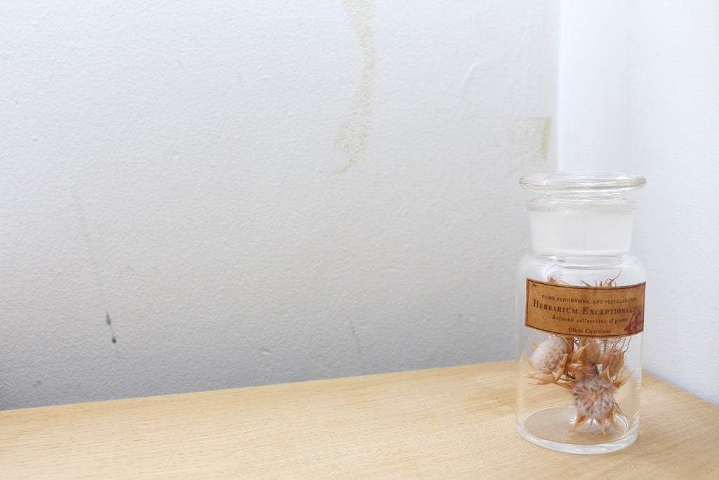 GLASS CONTAINER 新作入荷