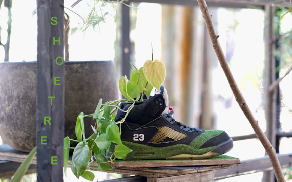 SHOETREE