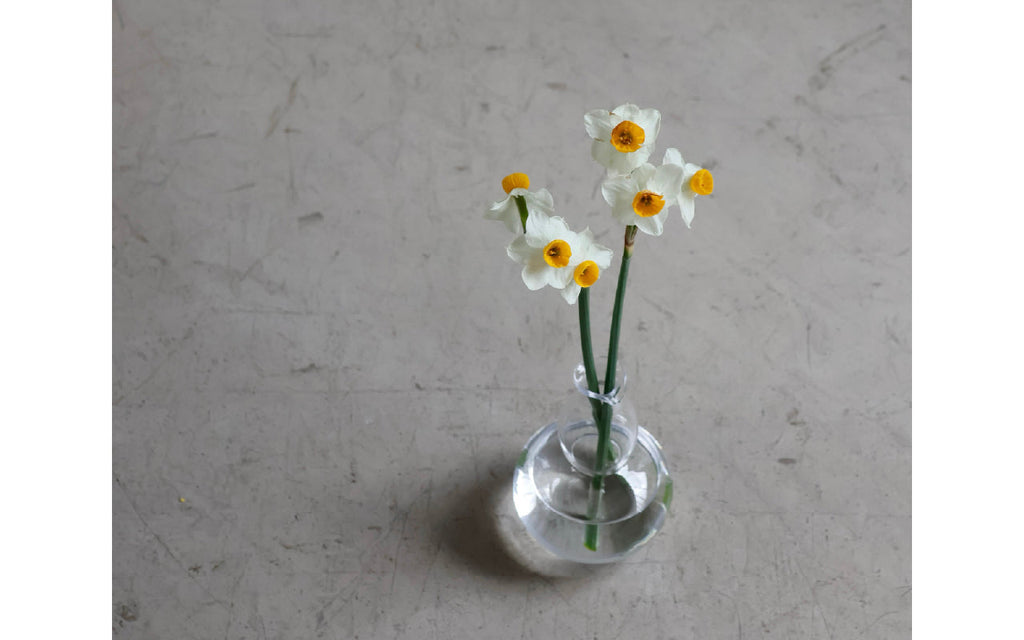 new release / 東屋