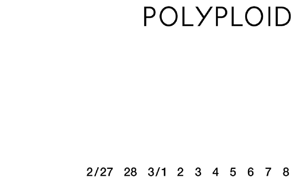 POLYPLOID 26AW ORDER EXHIBITION