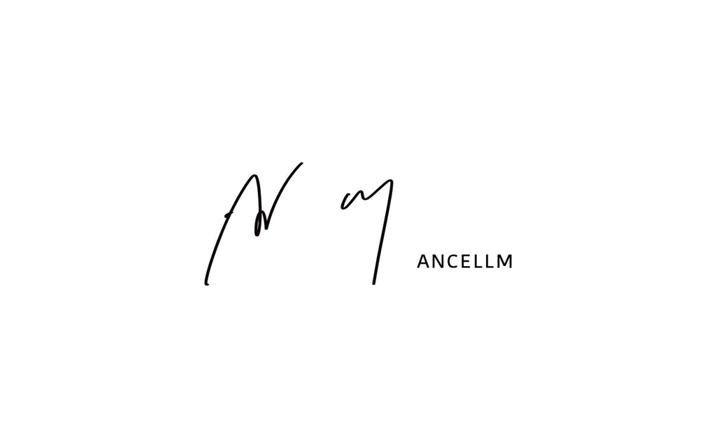 2024.3.16 release / ANCELLM