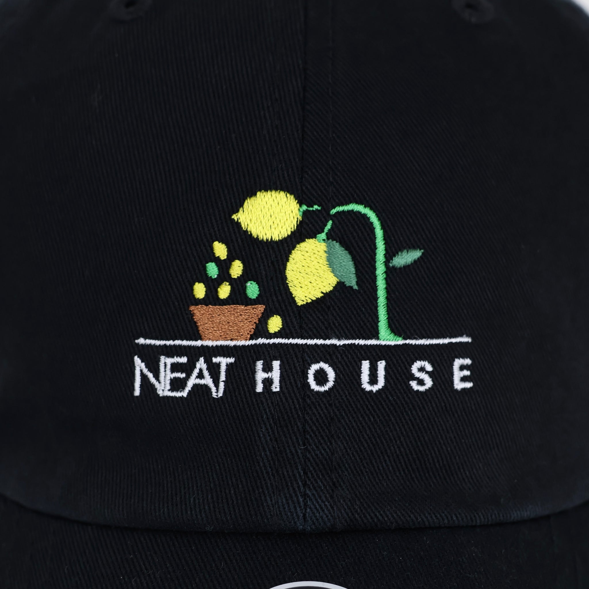 NEAT HOUSE CAP LEMON for ref.