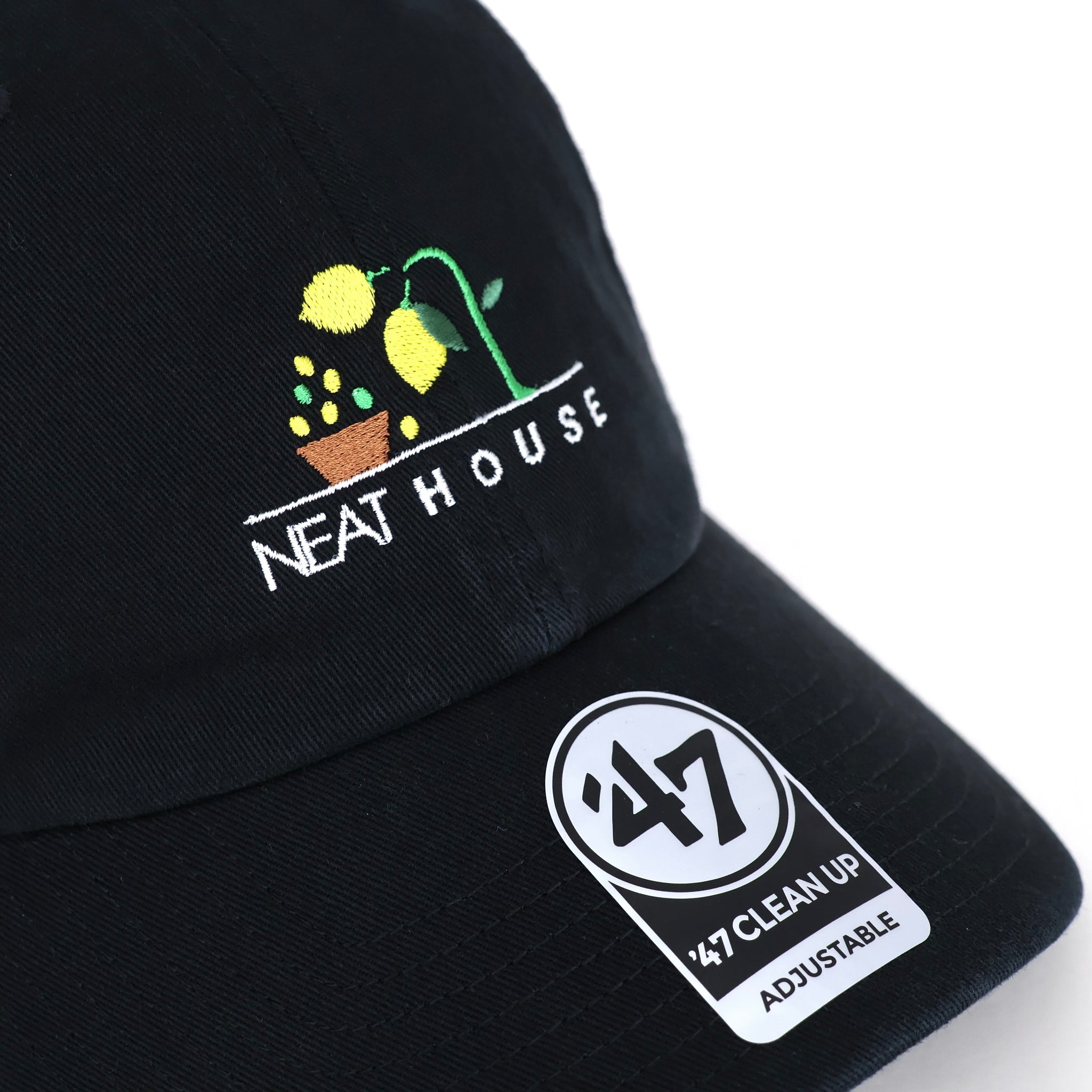 NEAT HOUSE CAP LEMON for ref.
