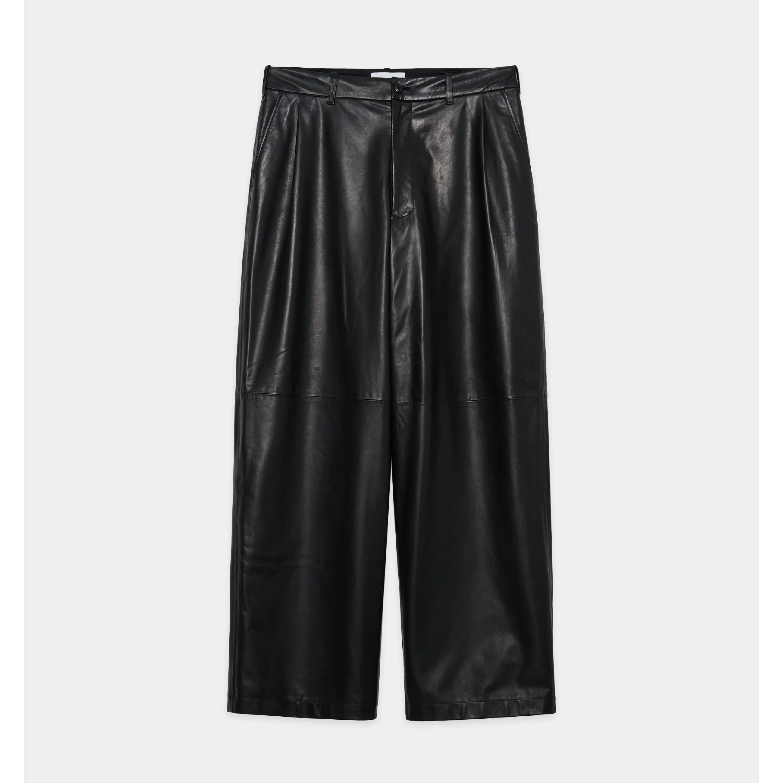 Glazed Sheepskin / Single Pleat Wide Trousers | ref. / Web Store