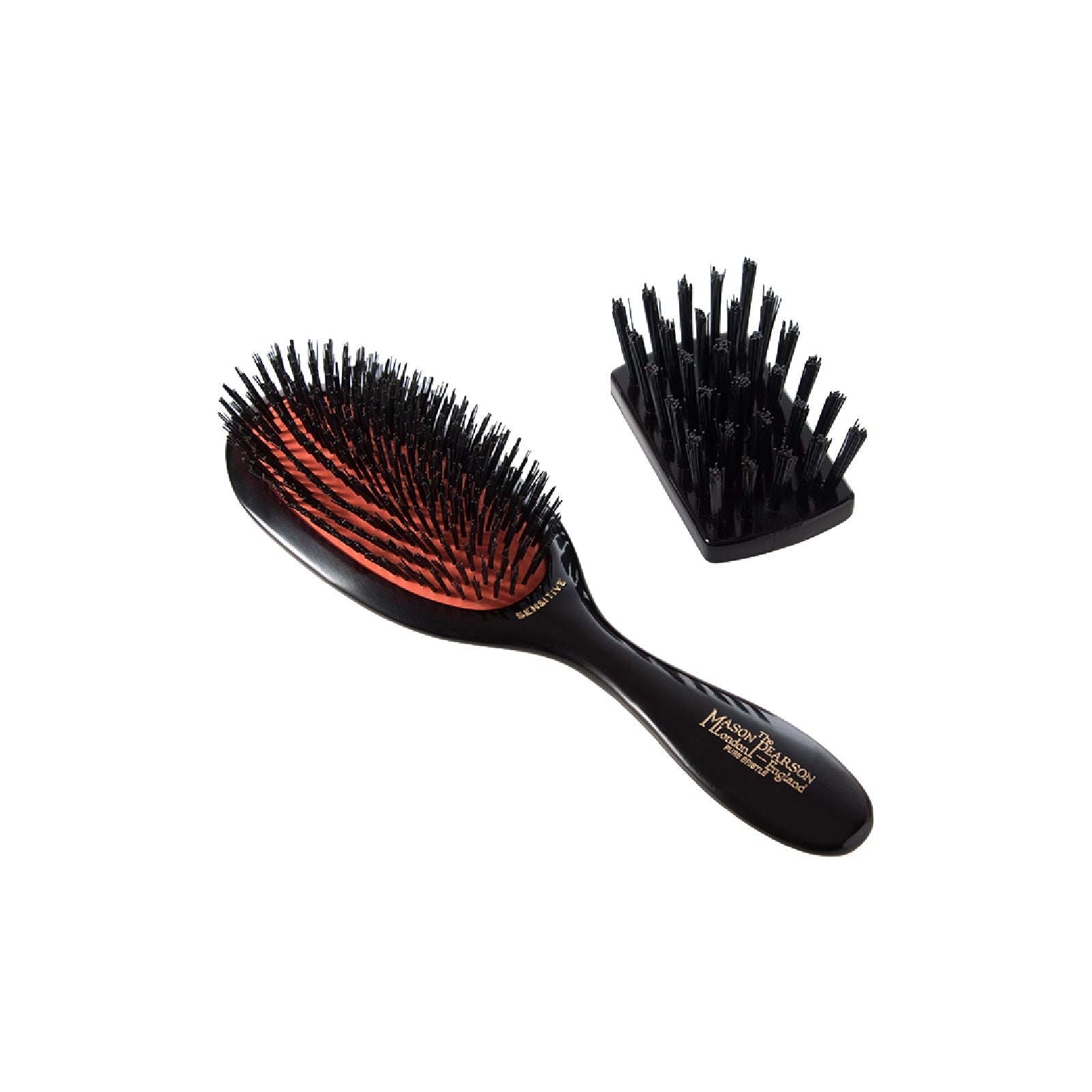 SENSITIVE BRISTLE