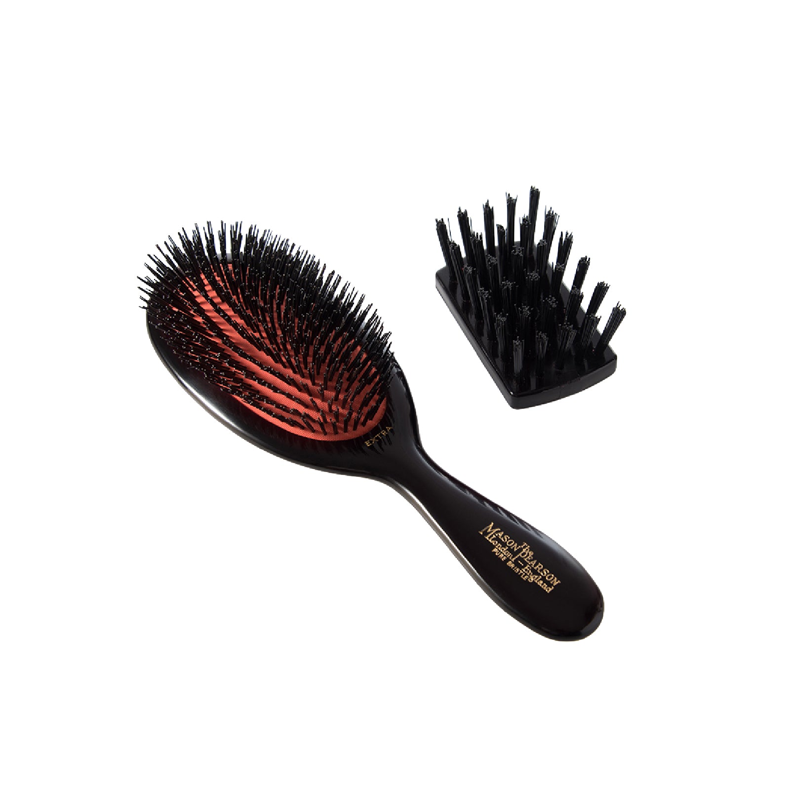 EXTRA SMALL BRISTLE