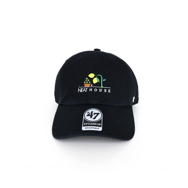 NEAT HOUSE CAP LEMON for ref.