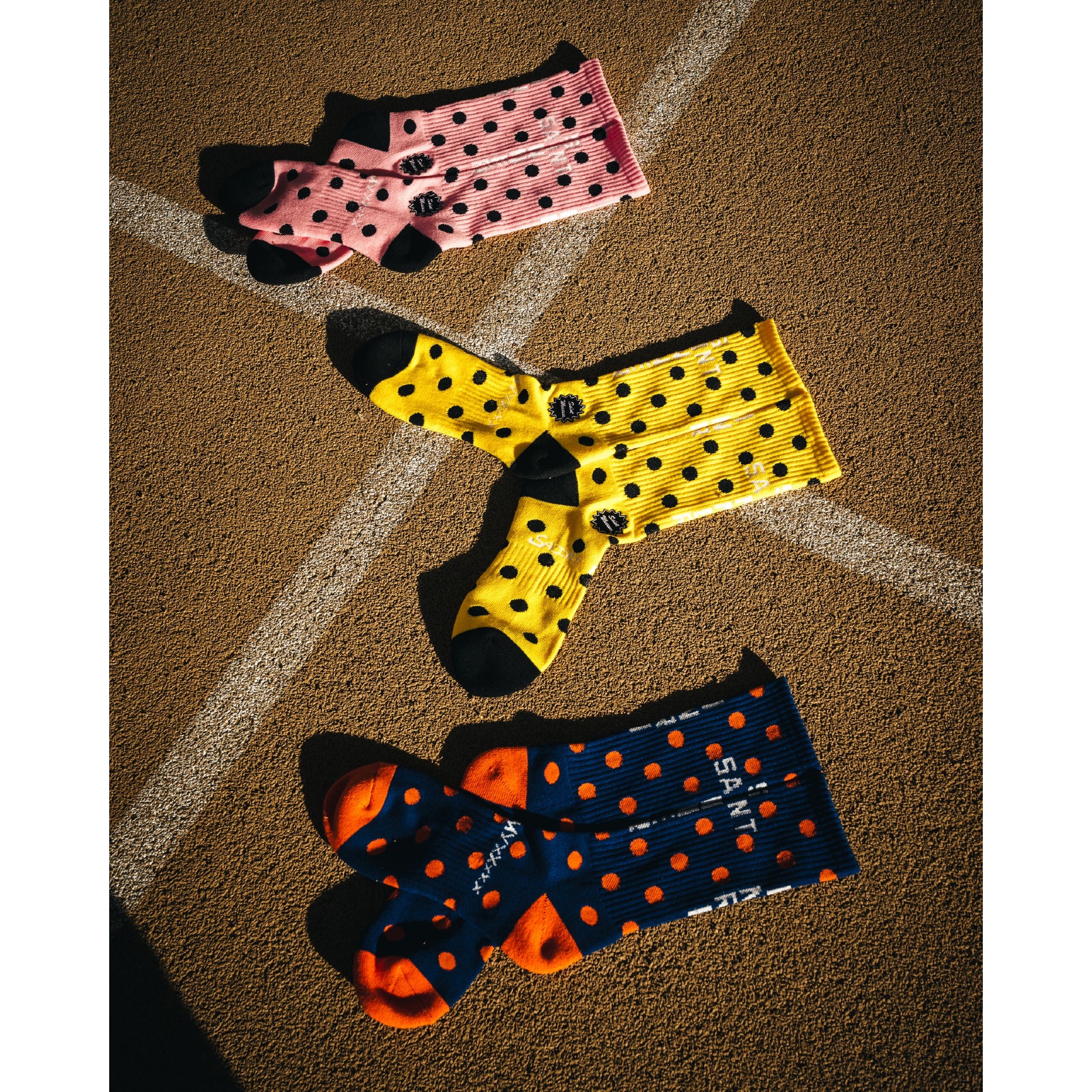 SOCKS / DOT / PINK+BLACK - ref. / Web Store