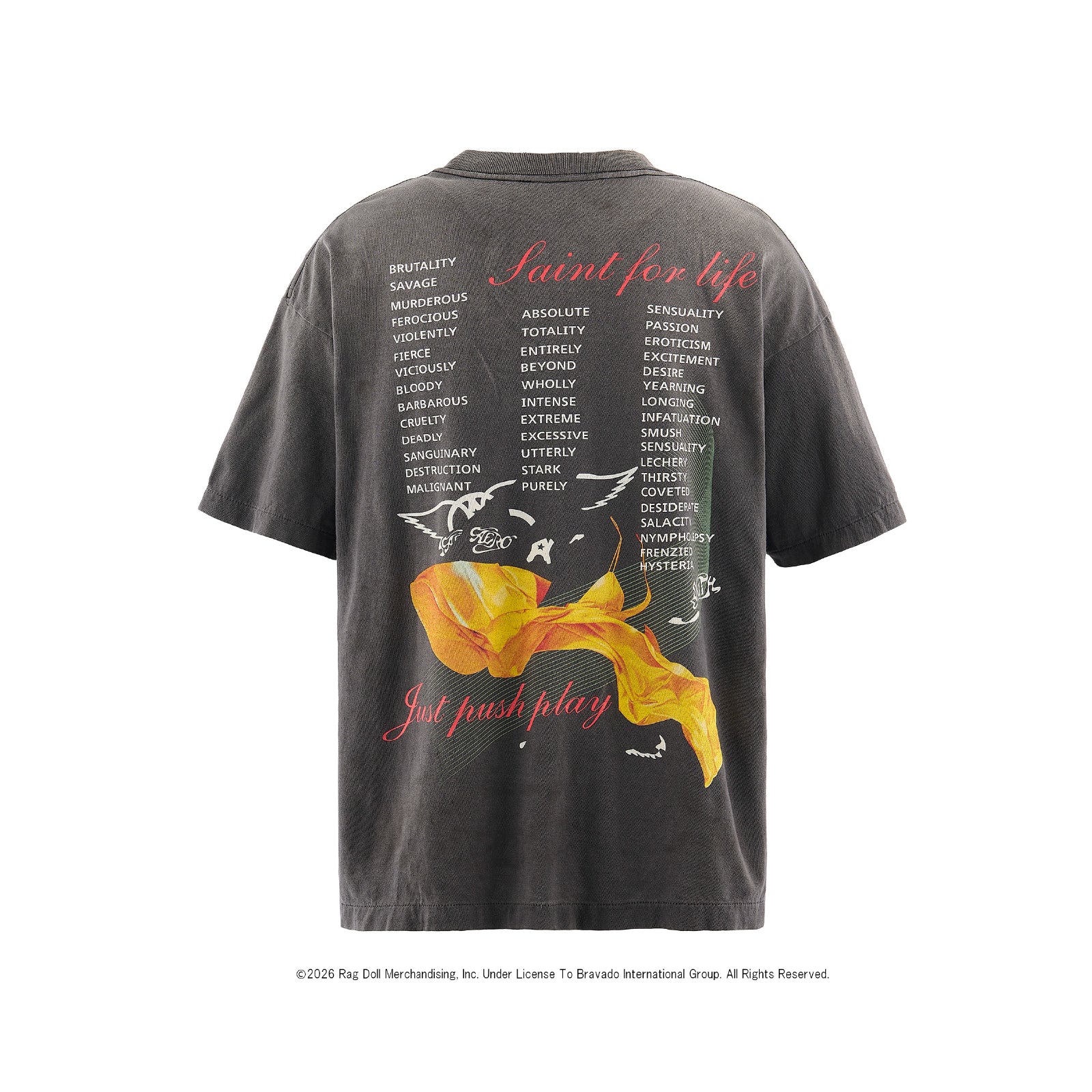 AS_SS T-SHIRT / AEROSMITH