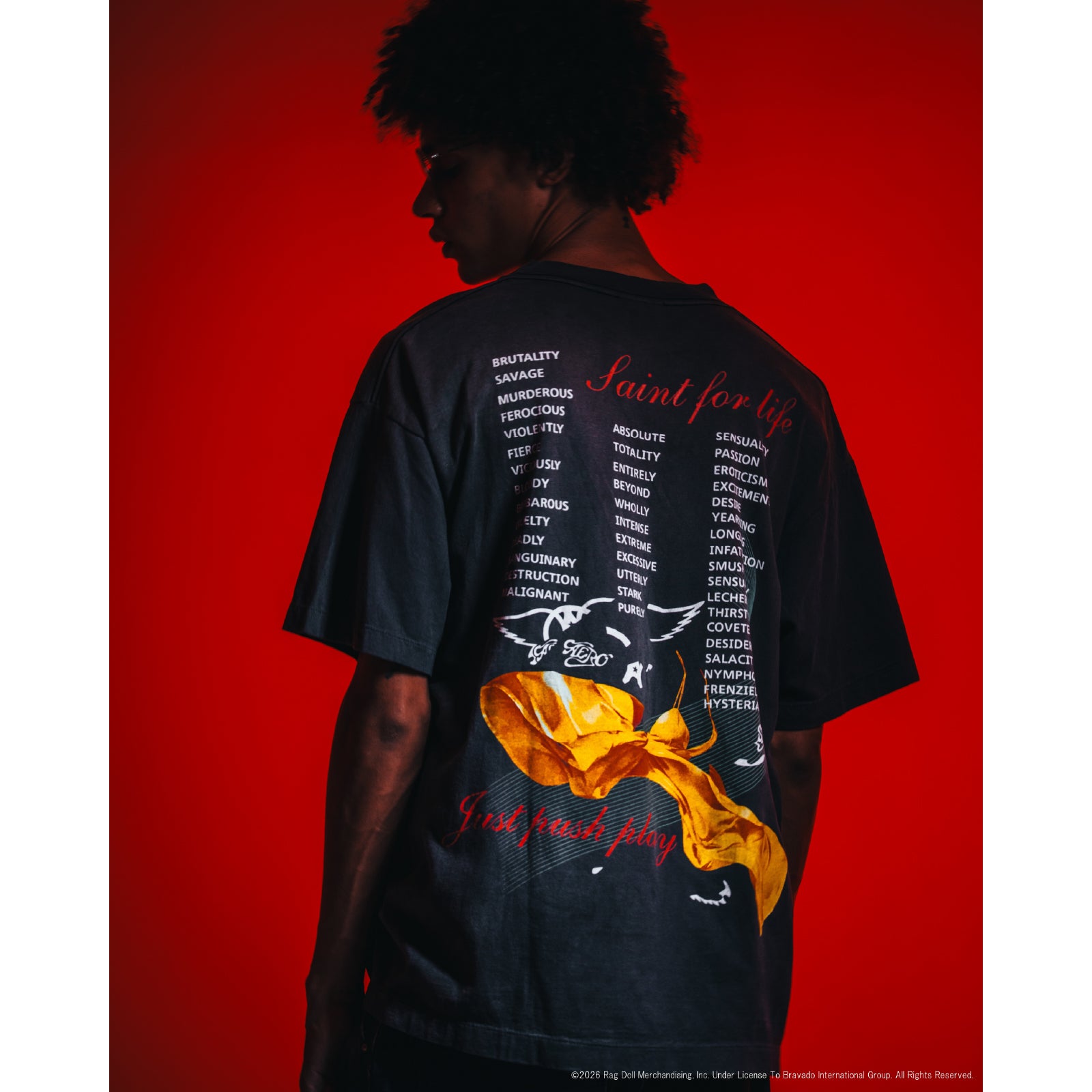 AS_SS T-SHIRT / AEROSMITH