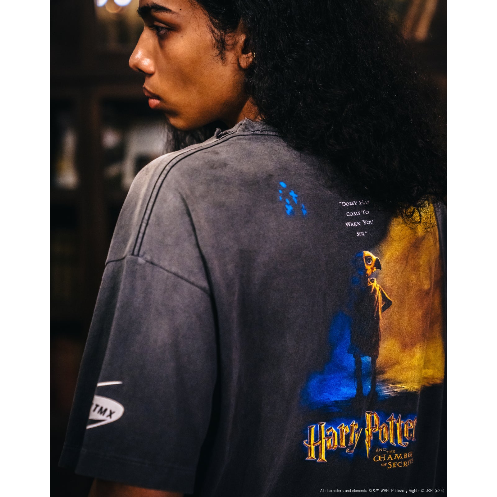 HP_SS TEE / CHAMBER OF SCRT