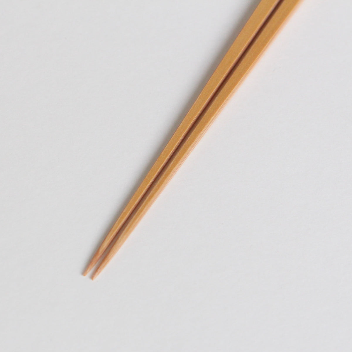 竹箸 元節
